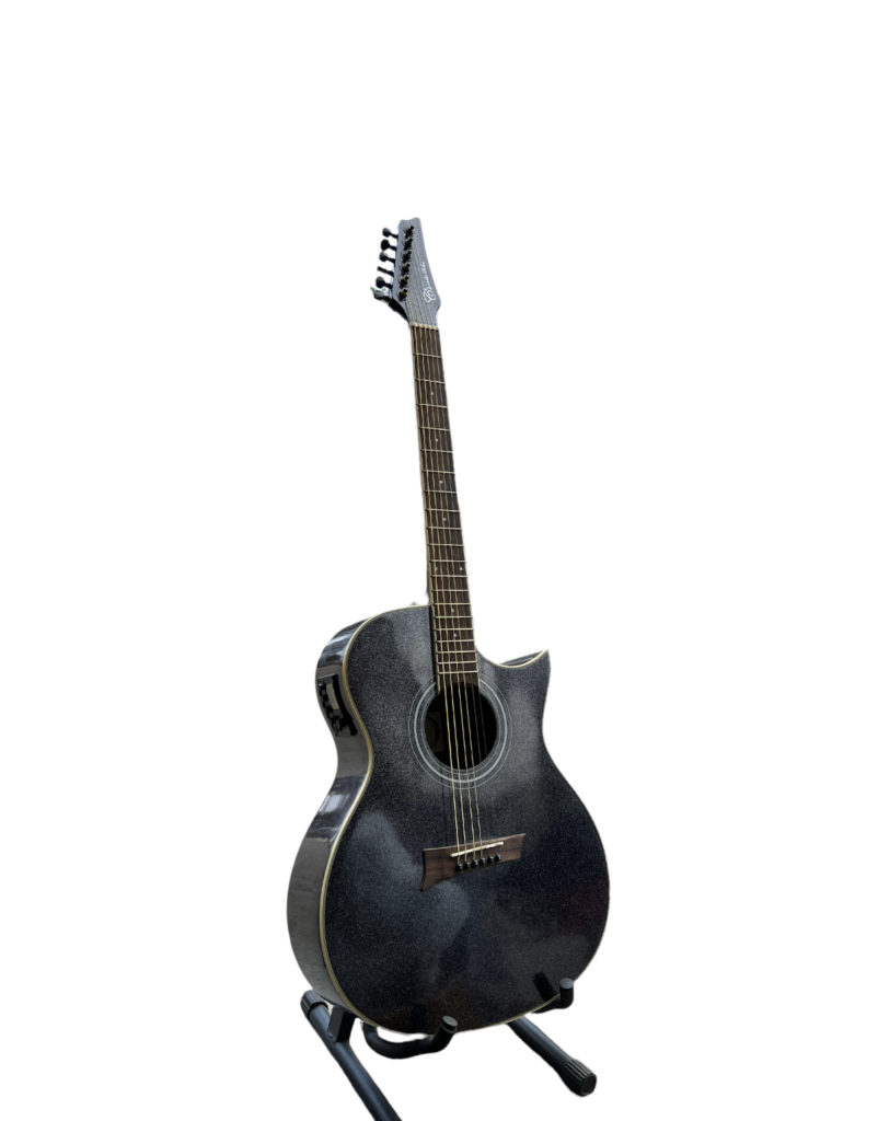 Chard acoustic guitar deals price