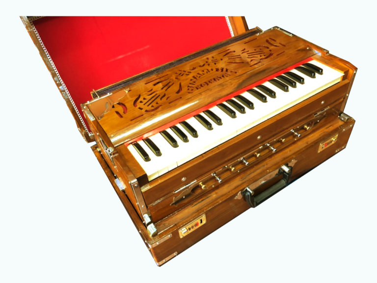 Bina-Harmonium - Nepal Music Gallery