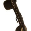 Sitar - Image 4