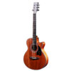 Cate Carter Guitar QM-705