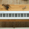 Casio CDP-S110 BK-Portable Digital Piano