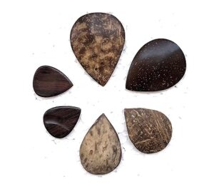 Sarod Jawa Pick Plectrum Set Traditional Crafted High Grade Coconut Shell